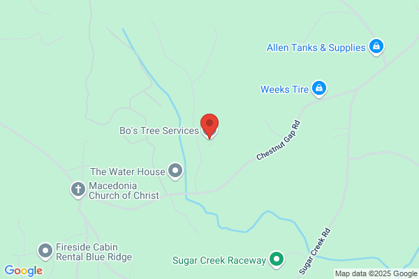 North Georgia Tree Experts