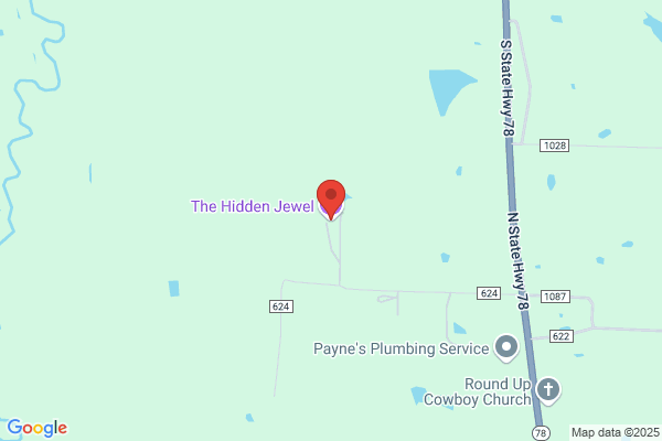 The Hidden Jewel