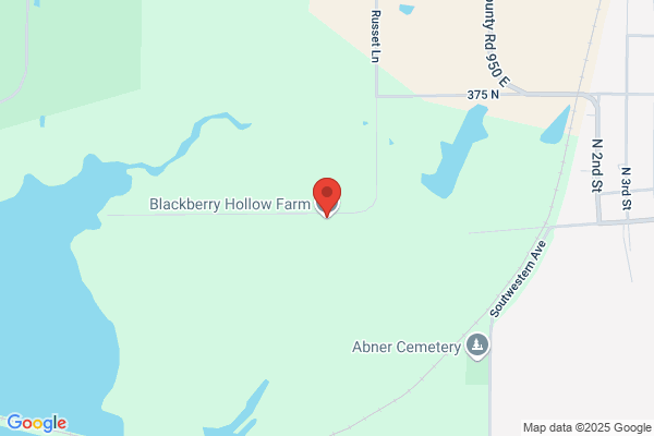 Blackberry Hollow