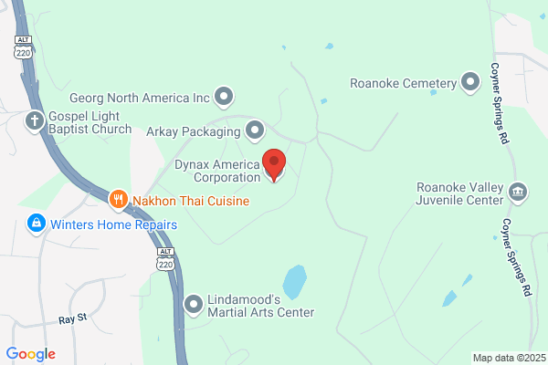 Dynax America Corporation