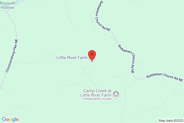 Litchford Kennels