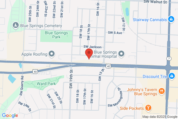 Blue Springs Rentals Inc
