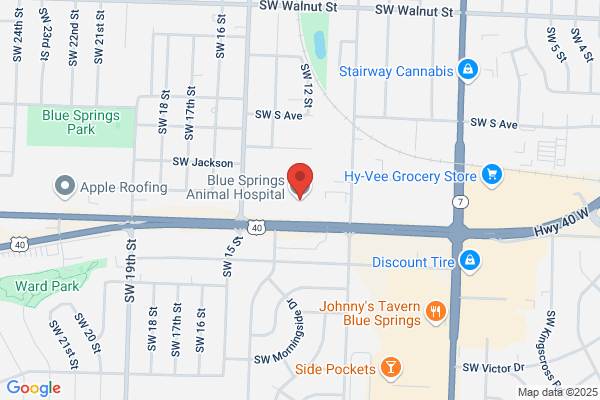 Blue Springs Animal Hospital & Pet Resort