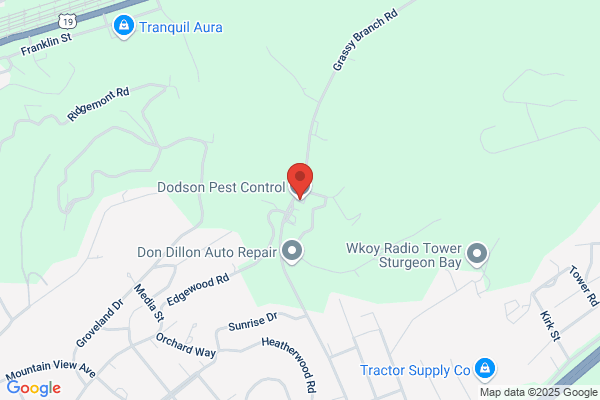 Dodson