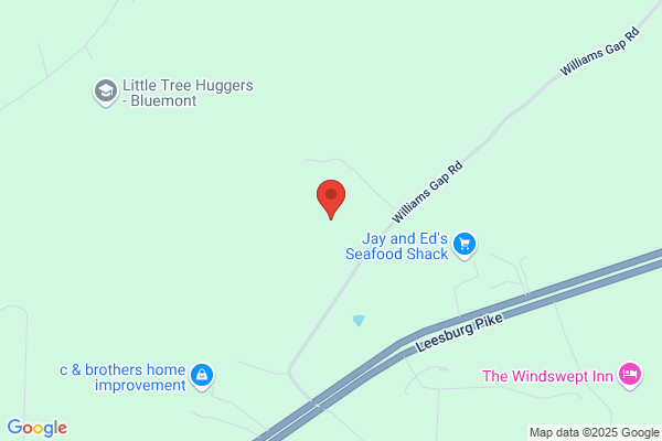 Snickers Gap Tree Farm