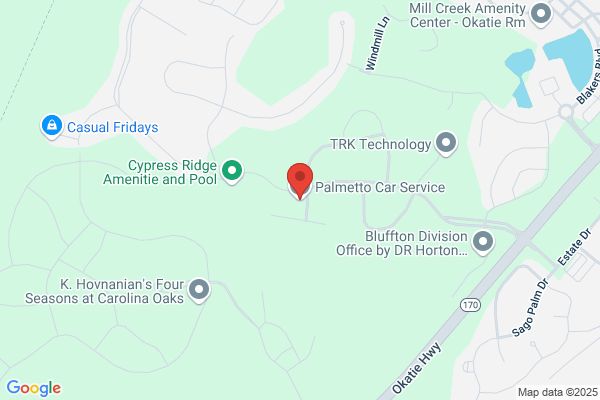 Palmetto Car Service