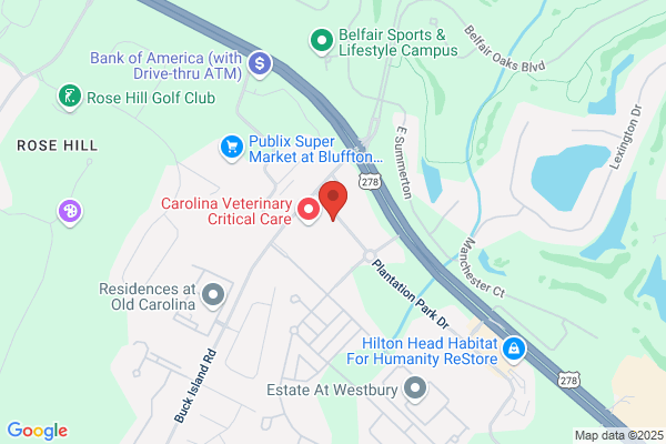 Affiliated Retina Consultants