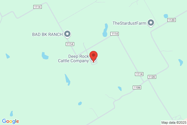 Deep Rock Cattle Co