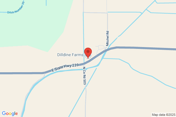 Dilldine Farms