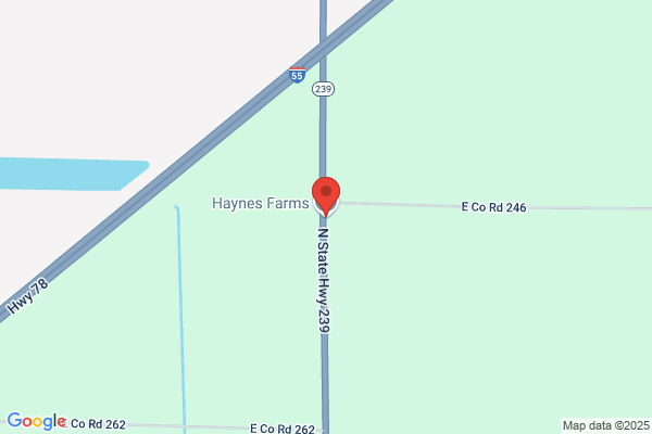 Haynes Farm Shop