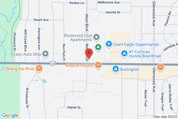 Advance Auto Parts