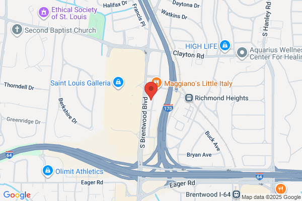 Top Flite Financial Inc,