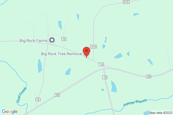 Big Rock Tree Removal LLC