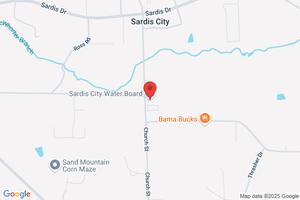 Sardis City Town of, Water Board