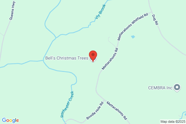 Christmas Bells