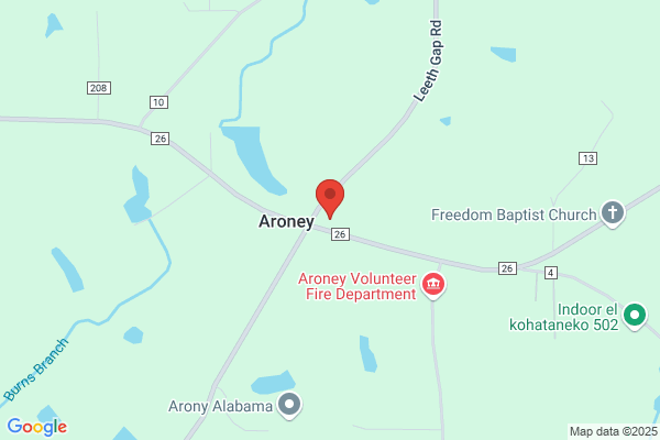 Aroney Express