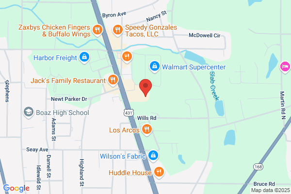 Trees N Trends Inc