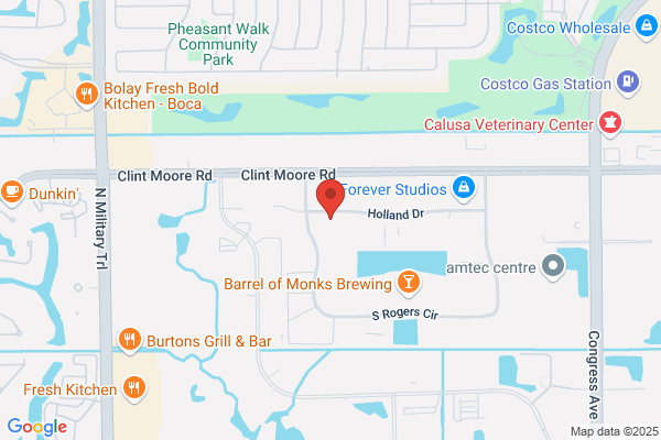 Security Systems Inc