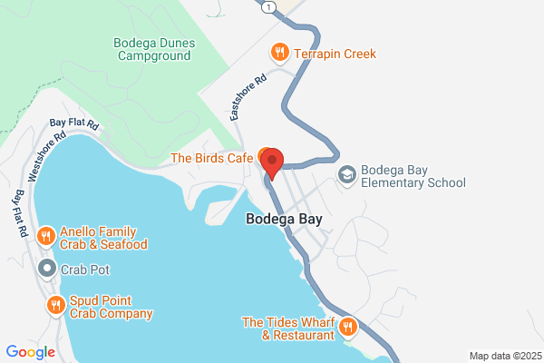 Bodega Bay Kayak
