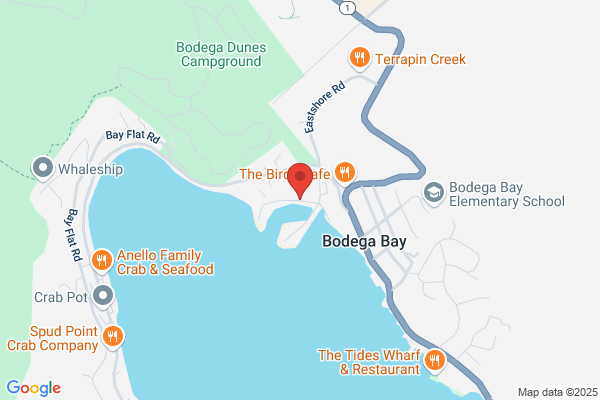 Porto Bodega Marina
