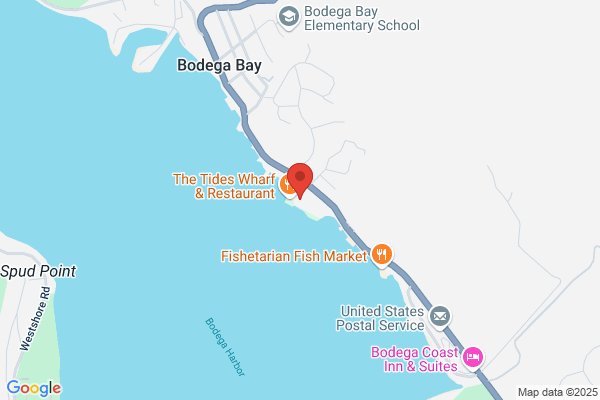 Tidepool Gifts