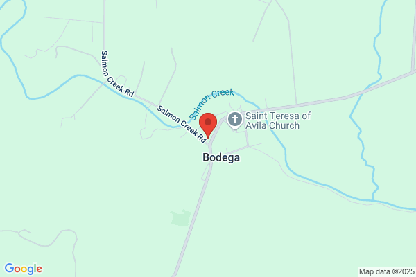 Bodega Country Store