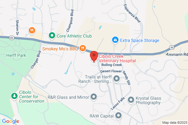 Cibolo Creek Veterinary Hospital