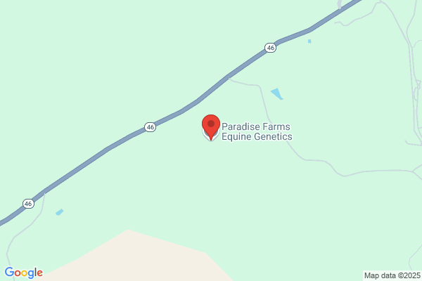 Paradise Farms Equine Genetics Llc