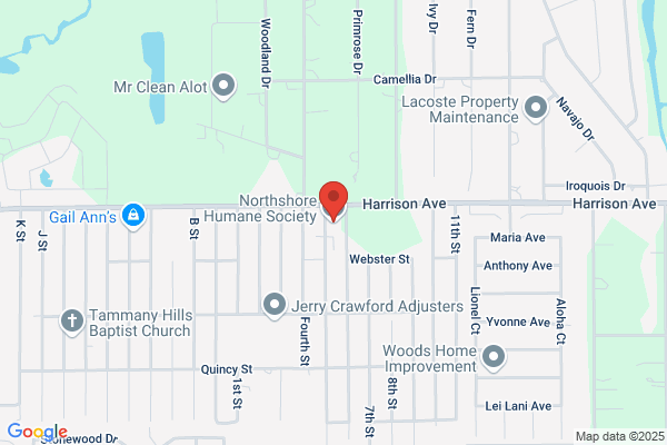Washington Humane Society