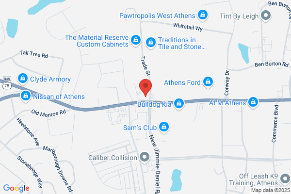 Advance Auto Parts