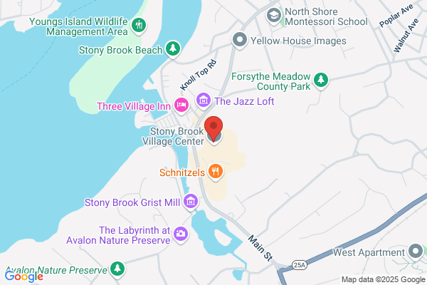 Holbrook Village Florist Inc