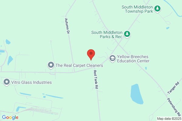 Rick & Sons Tree & Stump Removal
