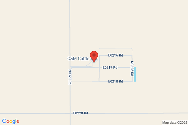 C & M Cattle