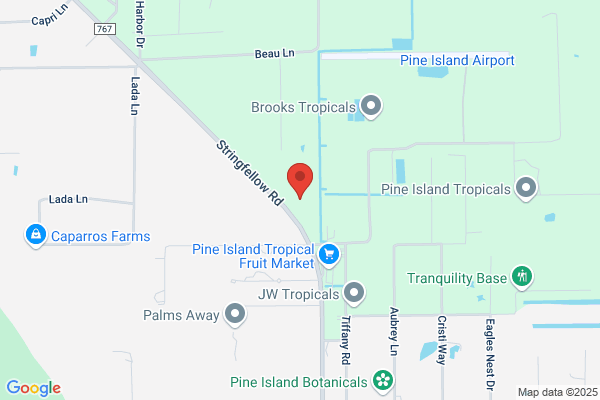 Palm Source Pine Island LLC