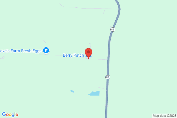 Berry Patch the