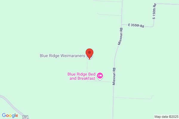 Blue Ridge Weimaraners