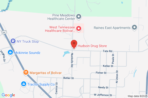 Hudson Drug Store