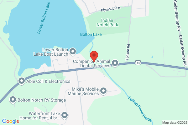 Bolton Lake Dental