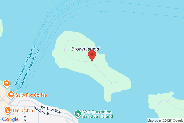 Island Caretakers Inc