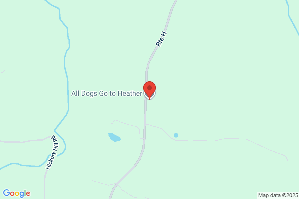 All Dogs