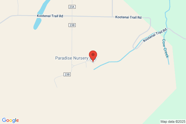 Paradise Nursery