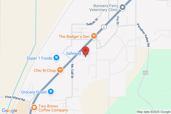 Safeway Food & Drug, Grocery
