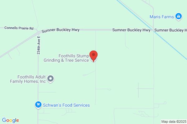Foothills Tree Service