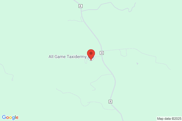 All Game Taxidermy