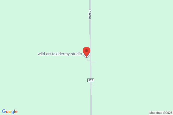 Clarks Taxidermy