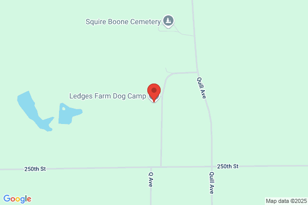 Ledges Farm Dog Camp