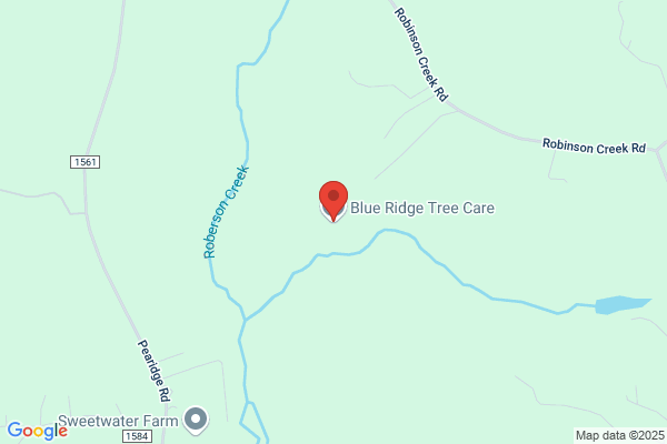 Blue Ridge Tree Experts