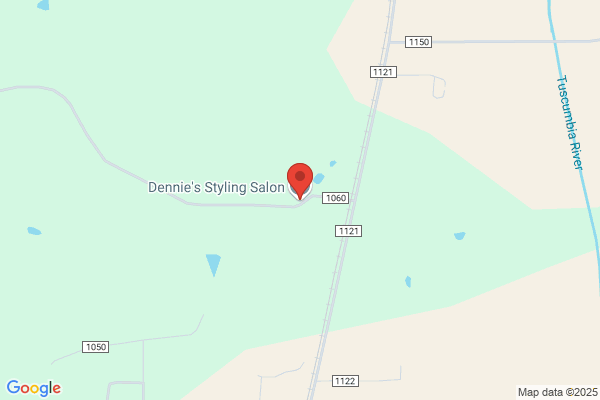 Dennies Styling Salon