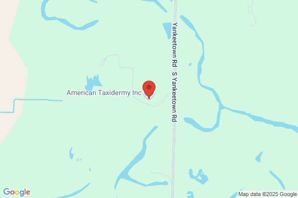 American Taxidermy Inc.