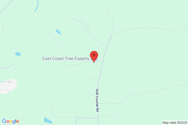 East Coast Tree Experts